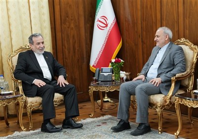 دیدار سفیر جمهوری اسلامی ایران در پاکستان با عراقچی