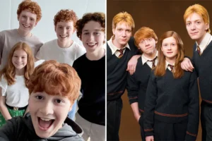خانواده ویزلی در سریال harry potter