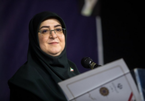 دولت به دنبال اذیت کردن بخش خصوصی نیست