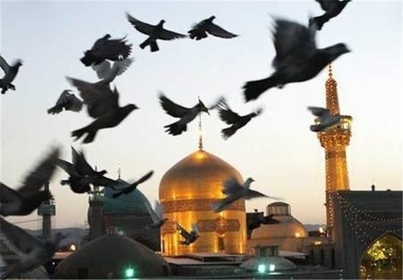 مدیران