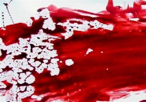 قتل خلافکار افغانستانی با ضربات چاقو/ شرور معروف شهر ری دستگیر شد