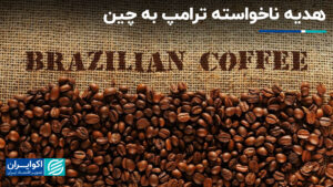 هدیه ناخواسته ترامپ به چین