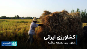 کشاورزی ایران ؛ سمفین ، پیر ، توسعه نیافته