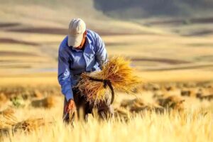 واژگونی یک معادله اقتصادی| روستاها از تولید به مصرف‌گرایی رسیدند