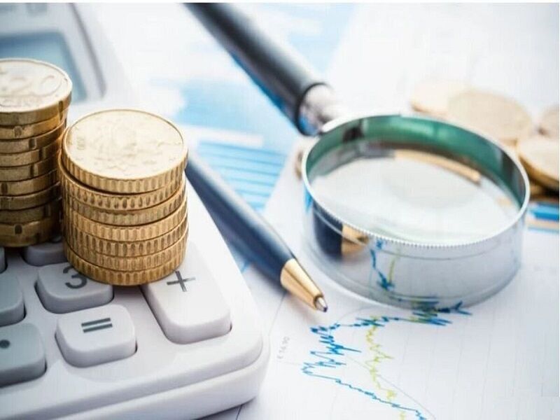 ۱۶۰ همت از تسهیلات بانک توسعه صادرات در دست ۵ شرکت است