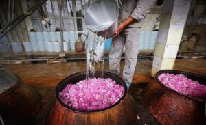 ارزش ۴میلیارد دلاری بازار جهانی عرقیجات گیاهی؛ شهرت جهانی ایران در گلاب‌گیری