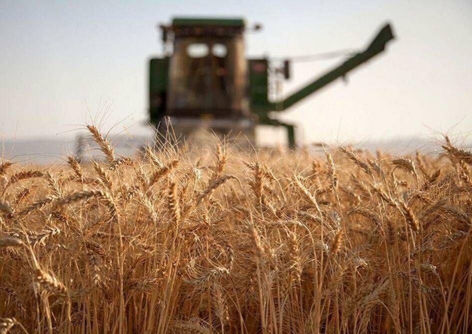 هفدهمین نمایشگاه بین‌المللی صنعت غلات، آرد و نان افتتاح شد