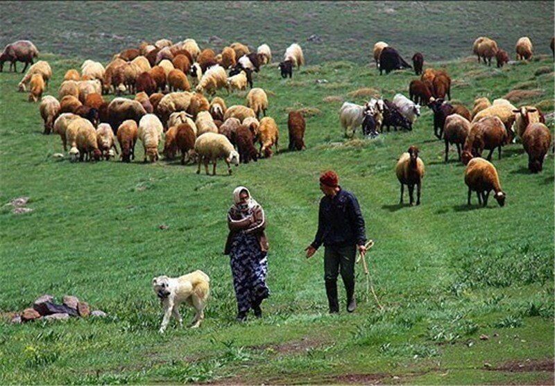 عشایر از تردد در حاشیه رودخانه و مسیل‌ها اجتناب کنند