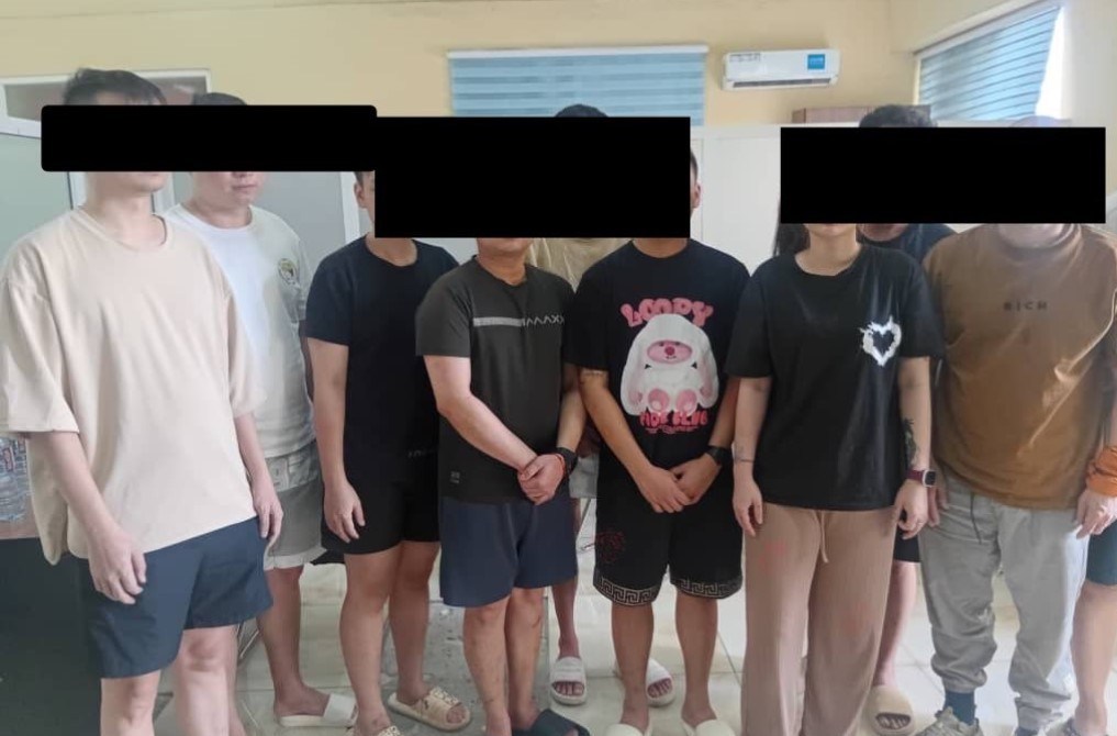 جرایم سایبری ، اینترپل ، 
