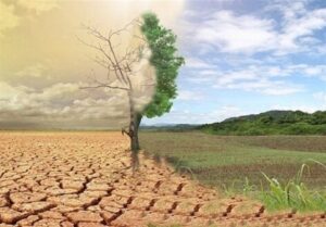 آیا جهنم دارالشفای گناهکاران است؟
