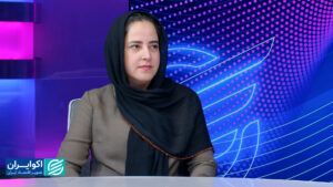 اقتصاد رفتاری معجزه نمی کند