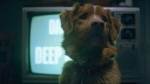 تریلر جدید فیلم Good Boy وحشت را از دید متفاوتی نشان می‌دهد - گیمفا