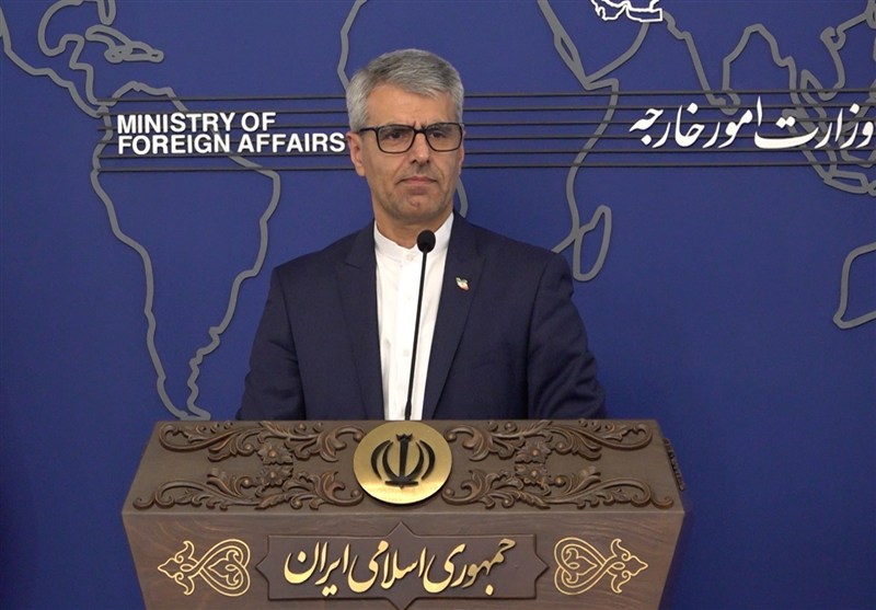سخنگوی وزارت امور خارجه اسماعیل باقی