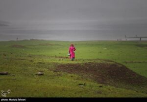 سد لفور با چشم‌اندازهای بکر جنگل‌های هیرکانی و آب آرام خود، یکی از زیباترین جاذبه‌های طبیعی مازندران