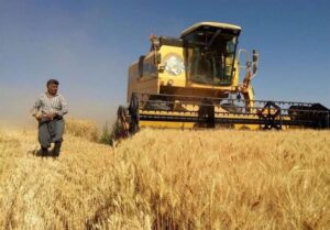هشدار درباره ذخیره کالاهای اساسی/نرخ خرید گندم کمتر از 30هزار تومان نباشد