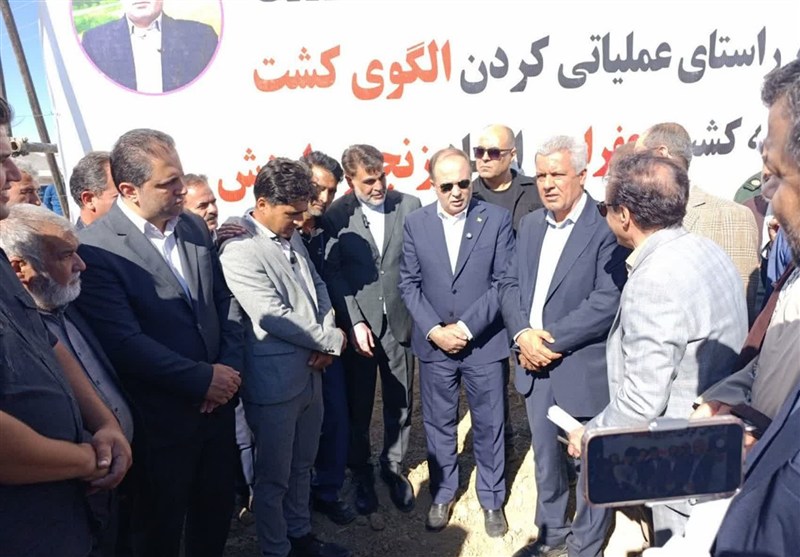 وزیر جهاد کشاورزی: سطح زیرکشت زعفران به 120 هزار هکتار رسید