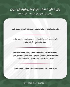 تیم ملی فوتبال ایران ، امیر قلانی نووی ،