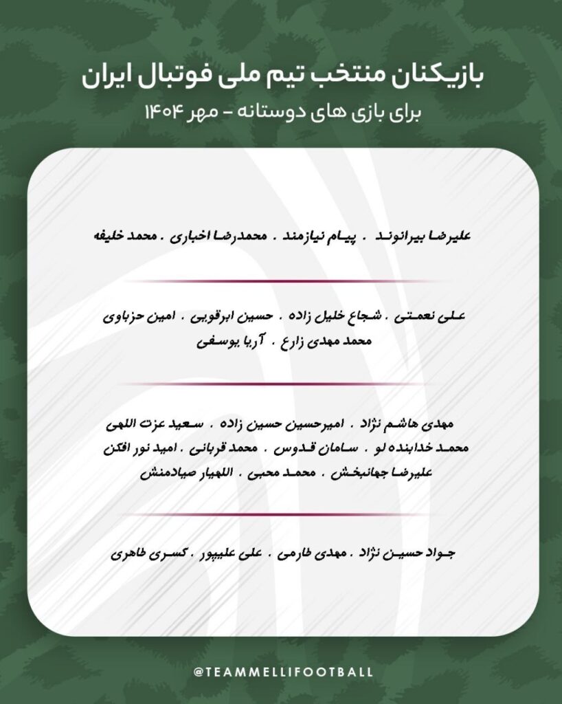 تیم ملی فوتبال ایران ، امیر قلانی نووی ،