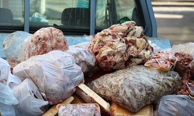 یک محموله گوشتی فاسد بازگردانده شد