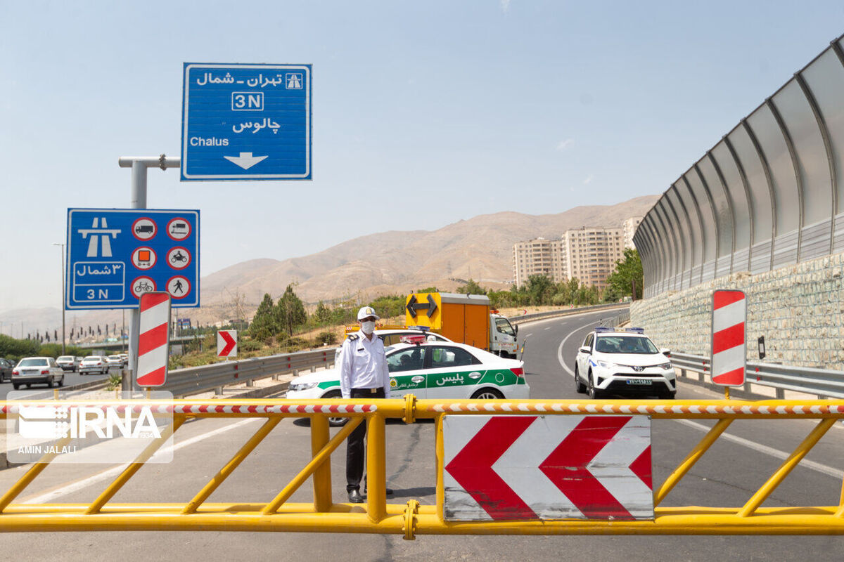 انسداد ۲۴ ساعته جاده چالوس به دلیل تردد احشام