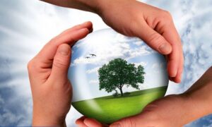 اجرای مبحث ۱۹ توسط سازندگان نزدیک صفر است| انرژی در دستگاه های دولتی قورت داده می شود