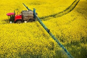 میانگین قیمت کلزا در بازارهای بین المللی؛ پیش بینی رشد ۴.۳۳درصدی بازار جهانی تا سال ۲۰۳۰