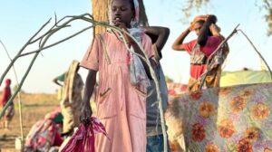 روایت های وحشتناک از کشتار شهر فاشر