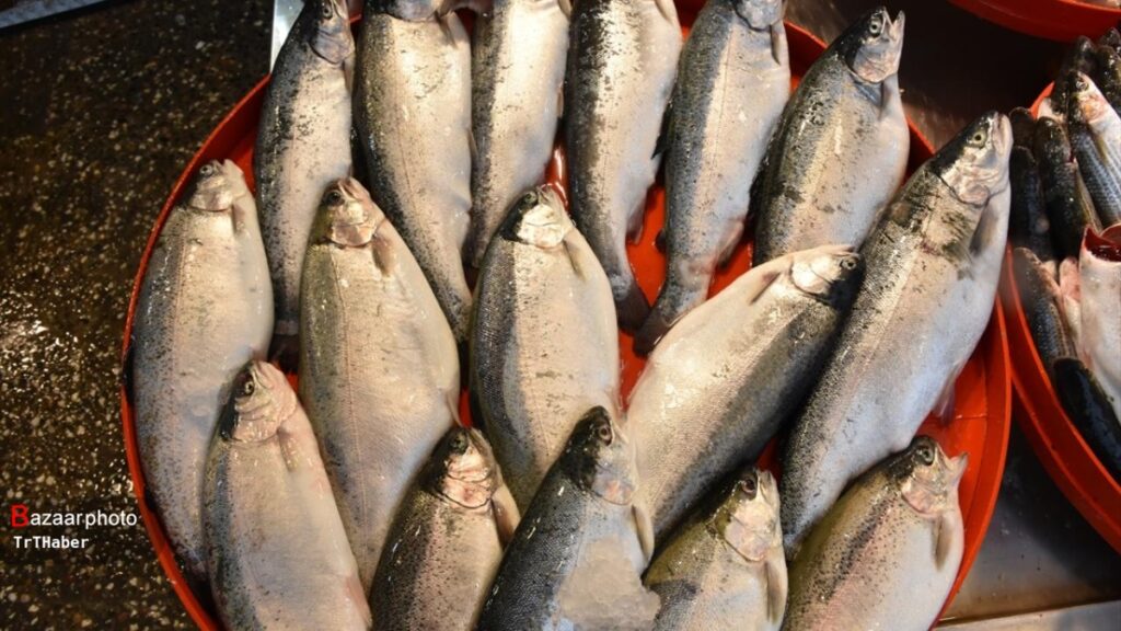 پیش‌بینی تولید ۱۲۰ هزار تنی ماهی در ایران