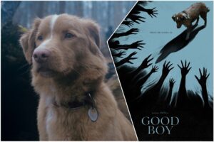 اولین کلیپ از فیلم ترسناک Good Boy منتشر شد - گیمفا
