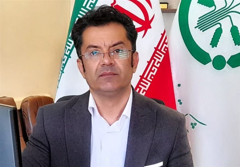 توزیع بیش از 67 هزار تن کود یارانه‌ای در همدان