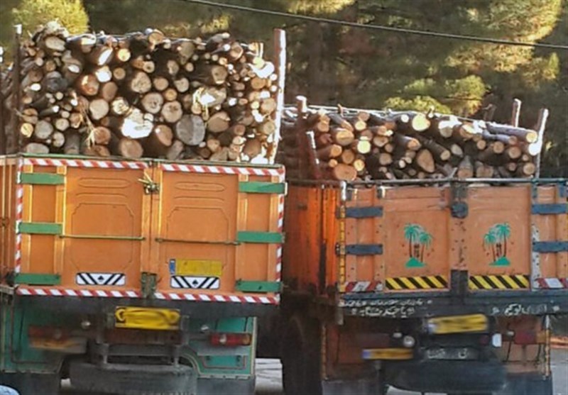 دستگیری 900 قاچاقچی چوب طی 6 ماه