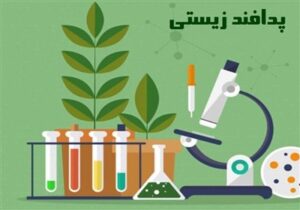 عملیات پاکسازی برای مقابله با پشه آئدس در قشم