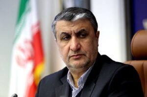 نقش فناوری هسته ای در ارتقای سایر صنایع/ امکان گشایش اقتصادی با پرتودهی محصولات کشاورزی