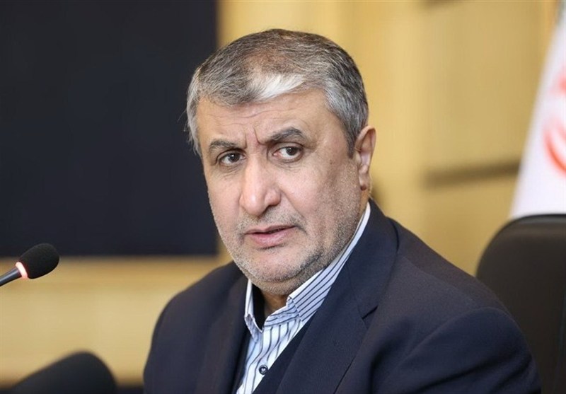 انتقاد نمایندگان مجلس از ورود بازرسان آژانس به نیروگاه بوشهر