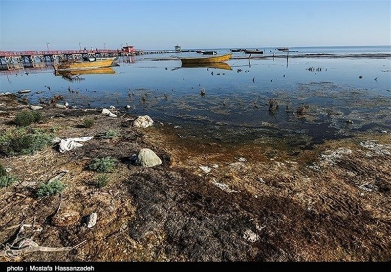وضعیت بحرانی خلیج گرگان/پیامدهای زیست محیطی و اقتصادی پسروی آب خزر