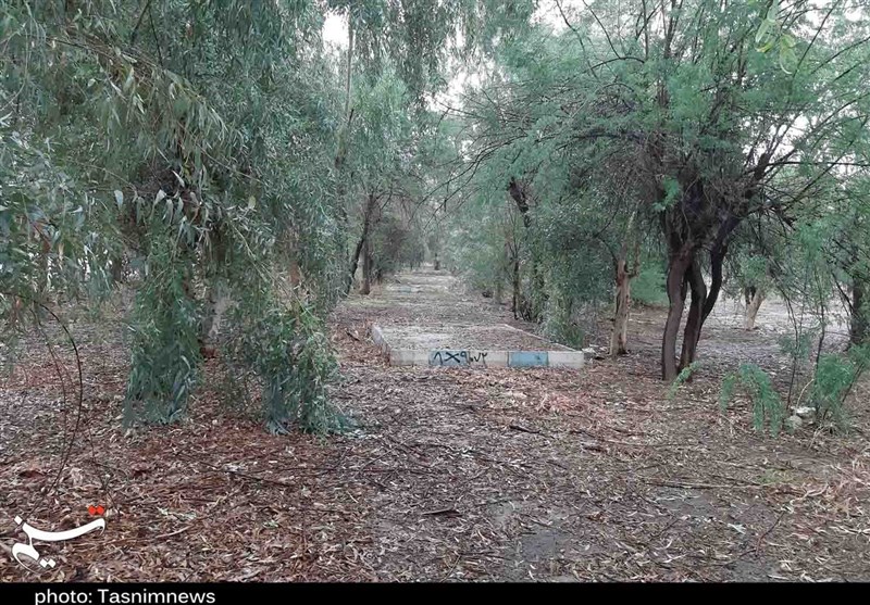 پرونده تغییر کاربری اراضی پارک‌های جنگلی لرستان در حال بررسی است