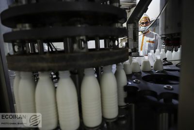 آیا لبنیات گران می شود؟