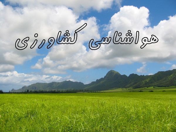 ضرورت تسریع کشت گندم دیم در مناطق سردسیر