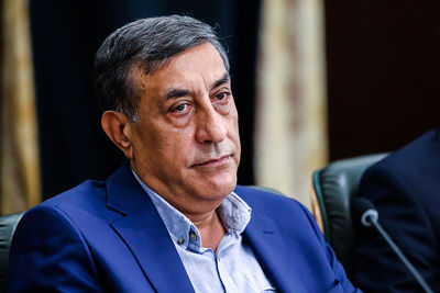 قائم پناه: بیشتر مردم دغدغه سیاسی ندارند. مردم نان، گوشت و برنج می خواهند