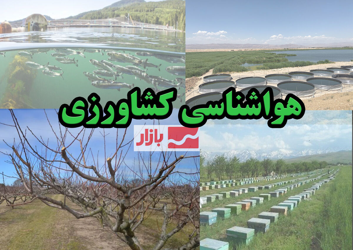 ضرورت استفاده از سیستم‌های ضدسرمازدگی در باغات و مزارع