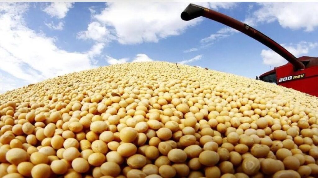 پیش بینی ارزش ۱۴۸.۶میلیارد دلاری بازار جهانی کنجاله سویا تا ۵سال آینده