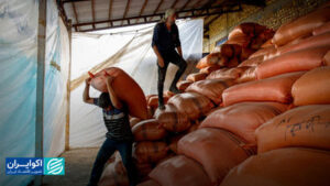 دست پنهان رانت در بازار برنج