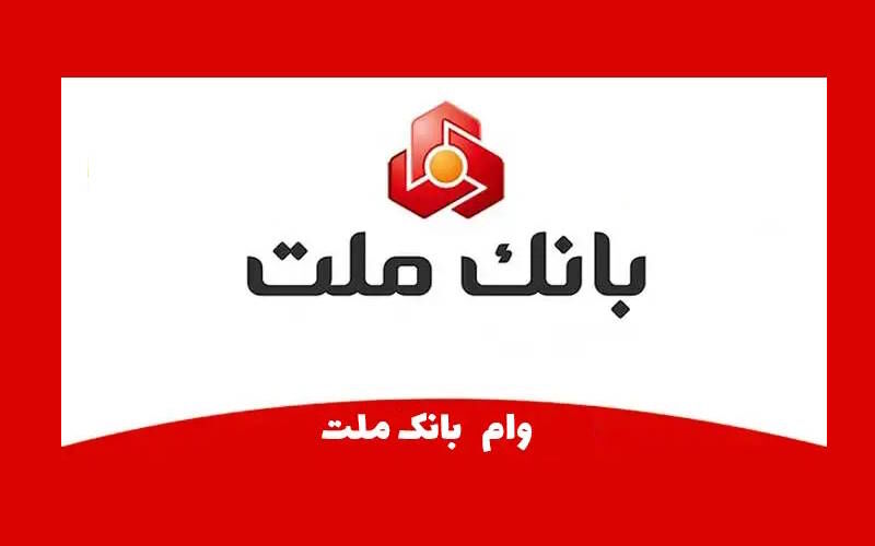 چگونه بدون ضامن و با ۴۸ ماه بازپرداخت وام بگیریم!