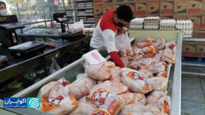 هشدار از تولید و مصرف گوشت مرغ؛ روایتی از آمار کاهش عرضه