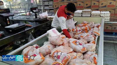 هشدار از تولید و مصرف گوشت مرغ؛ روایتی از آمار کاهش عرضه