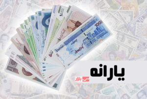 سامانه خدمات یارانه نقدی راه‌اندازی شد| امکان تبدیل یارانه نقدی به کالابرگ