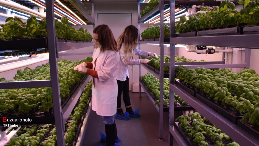 ارزش ۹.۶۶ میلیارد دلاری بازار جهانی کشاورزی عمودی| سهم ۶۸.۷ درصدی بخش هیدروپونیک از بازار