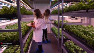 ارزش ۹.۶۶ میلیارد دلاری بازار جهانی کشاورزی عمودی| سهم ۶۸.۷ درصدی بخش هیدروپونیک از بازار