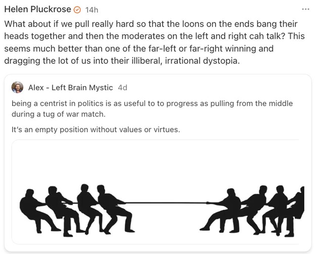 هلن پلاک رز