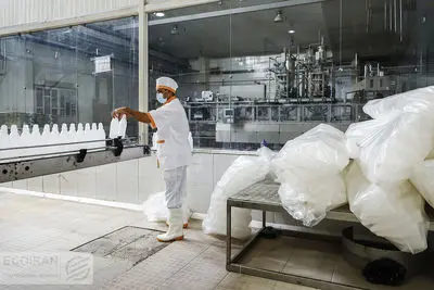 آیا قیمت لبنیات کاهش می یابد؟ + ویدیو